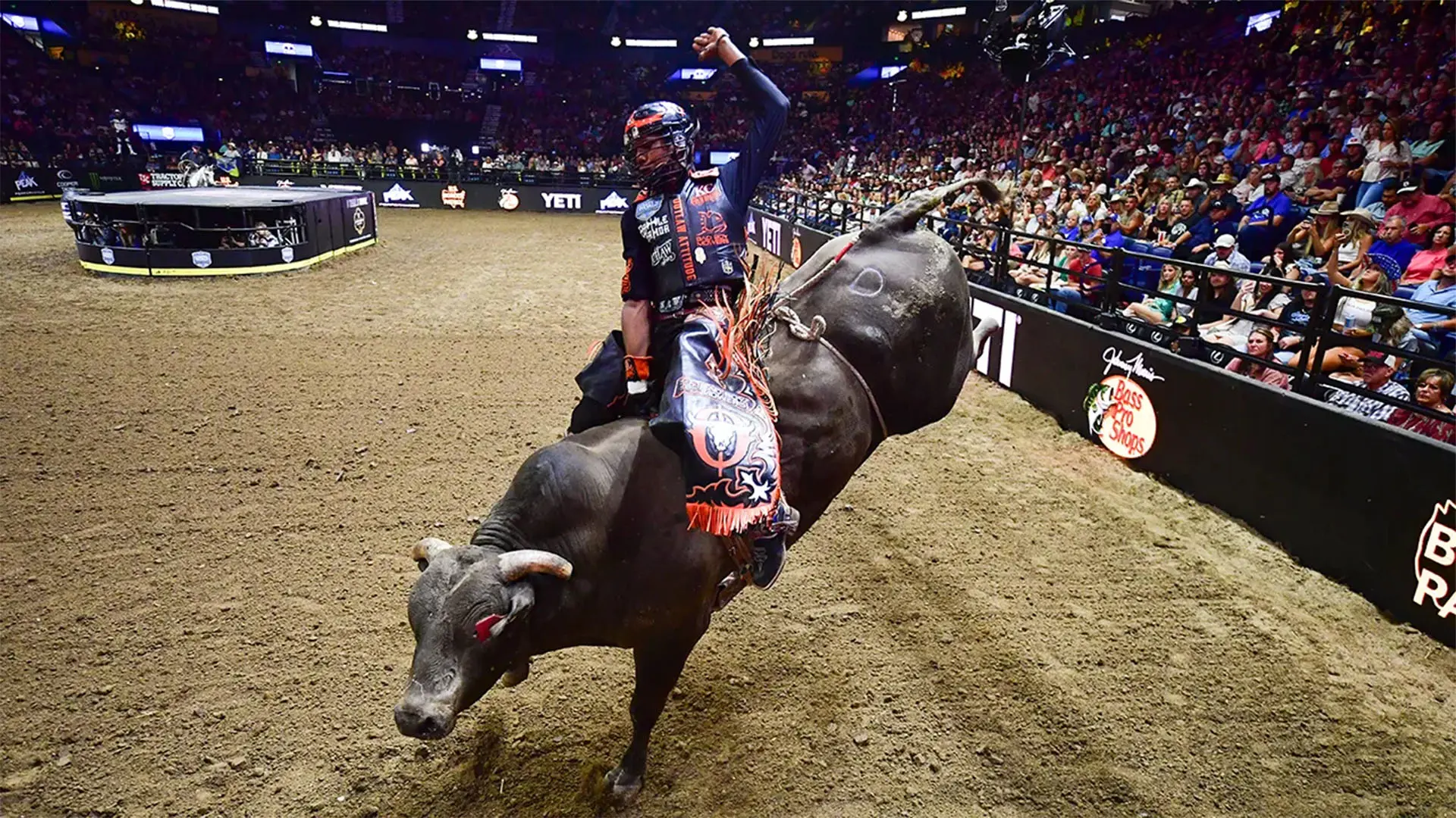 PBR Teams: Rattler Days